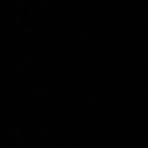 Meet your Posher, Chase